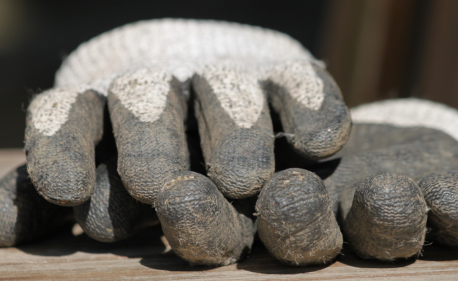 gloves